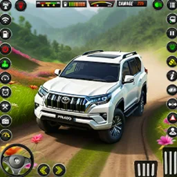 Prado Car Driving